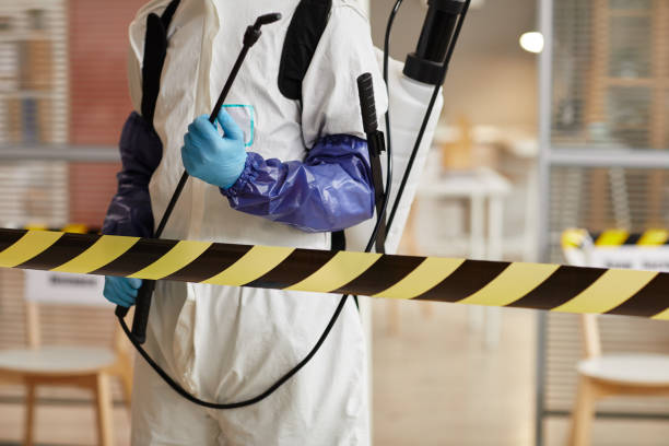 Professional Hoarding Cleanup technician working in Sugarloaf, CA